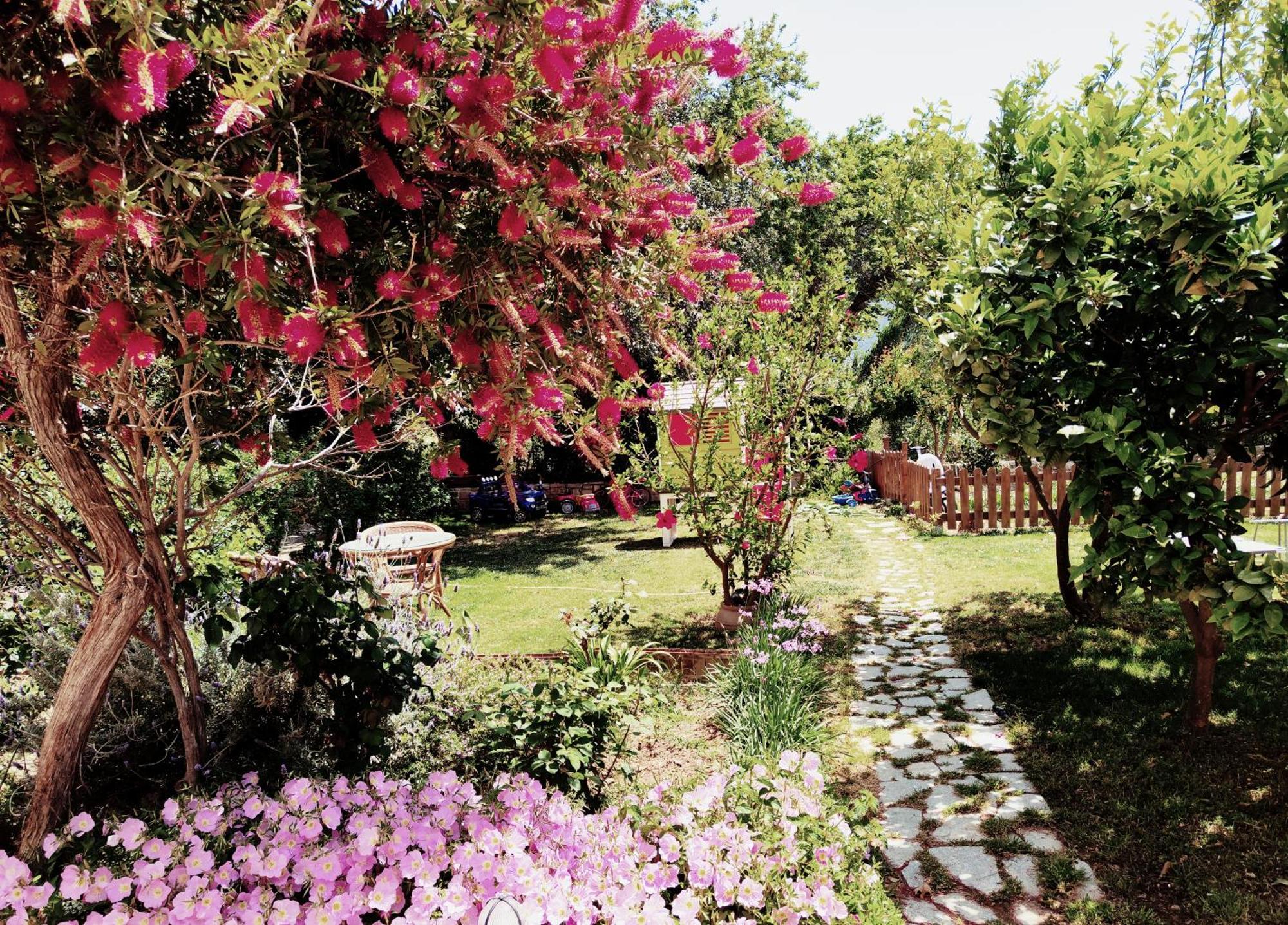 Plakias River Apartment Exteriér fotografie